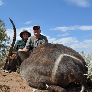 One horned waterbuck