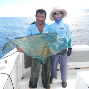 Napoleon at Andaman Islands