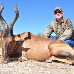 22.5" Red Hartebeest