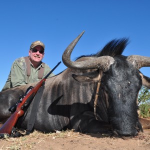 2nd Blue Wildebeest