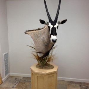 Oryx shoulder mount