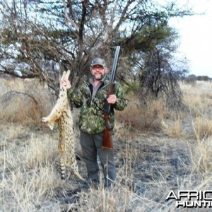 good serval