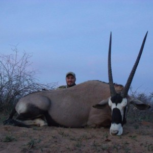 Gemsbok