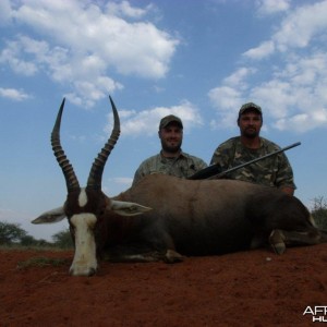 Blesbok