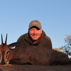 Duiker