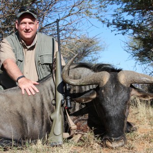 Namibia  blue wildebeest