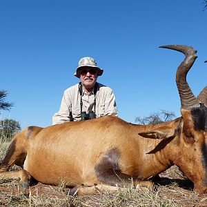 Hartebeest hunt with Wintershoek Johnny Vivier Safaris