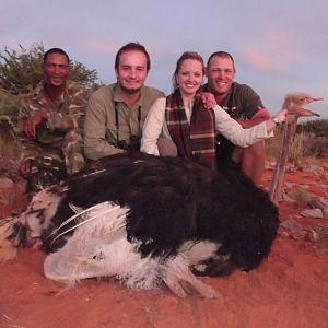 Ostrich hunt with Wintershoek Johnny Vivier Safaris