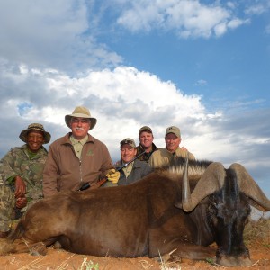 Black Wildebeest hunt with Wintershoek Johnny Vivier Safaris