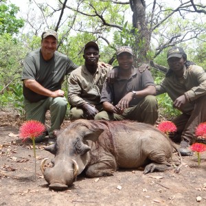 Warthog hunt with CAWA in CAR