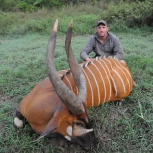 Bongo hunt with CAWA in CAR