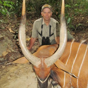 Bongo hunt with CAWA in CAR