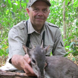 Blue Duiker hunt with CAWA in CAR