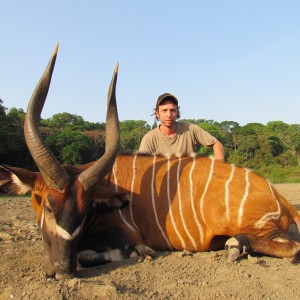 Bongo hunt with CAWA in CAR