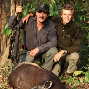 Yellow Back Duiker hunt with CAWA in CAR