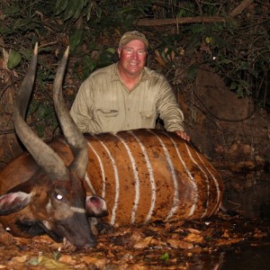 Bongo hunt with CAWA in CAR