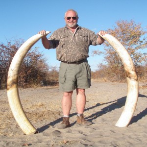 57 Lb. Botswana Elephant 2013