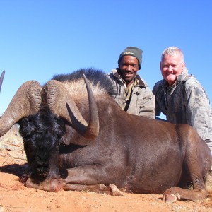 Black Wildebeest hunt with Wintershoek Johnny Vivier Safaris