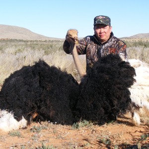 Ostrich hunt with Wintershoek Johnny Vivier Safaris