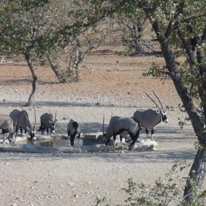 Namibia 2013