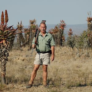 Aloe plants, Eastern Cape, South Africa