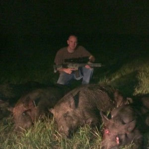 Night vision thermal pig hunts in Texas