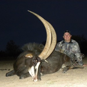 40.5 inch Sable