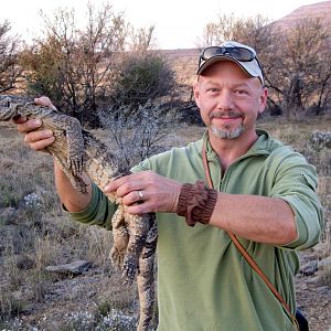 Very Cold Rock Monitor Lizard 2013