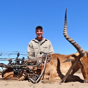 Impala Botswana 2013