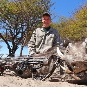 Warthog Botswana 2013