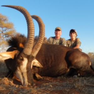 40'' limpopo sable