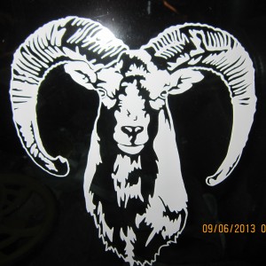 Mouflon Decal Stickers