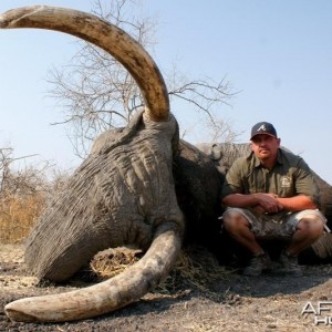 Elephant Botswana