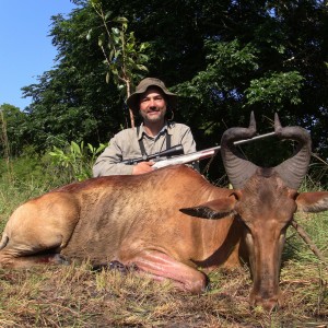 Hartebeest