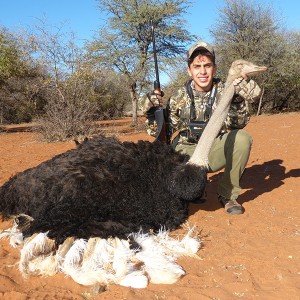 Ostrich hunt with Wintershoek Johnny Vivier Safaris