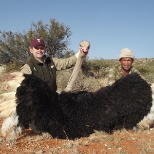 Ostrich hunt with Wintershoek Johnny Vivier Safaris