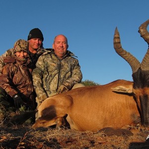 Hartebeest hunt with Wintershoek Johnny Vivier Safaris
