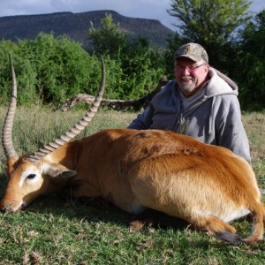 Red Lechwe