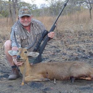 Mozambique Reed buck