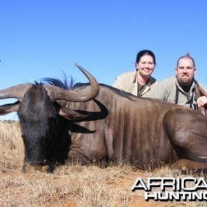 Blue Wildebeest hunt with Wintershoek Johnny Vivier Safaris