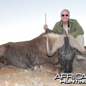 Black Wildebeest hunt with Wintershoek Johnny Vivier Safaris