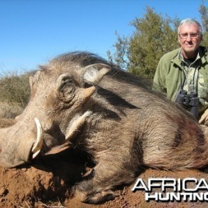 Warthog hunt with Wintershoek Johnny Vivier Safaris