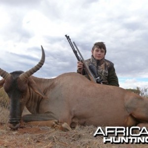 Tsessebe hunt with Wintershoek Johnny Vivier Safaris