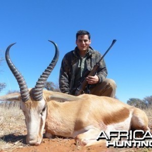 Springbok hunt with Wintershoek Johnny Vivier Safaris