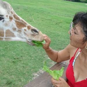 Giraffe and Me