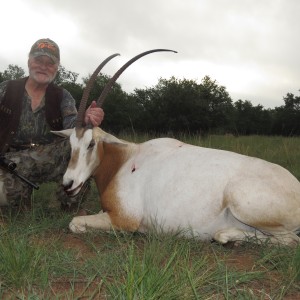 trophy oryx