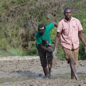 Mud fishing