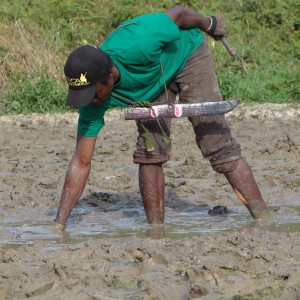 Mud fishing