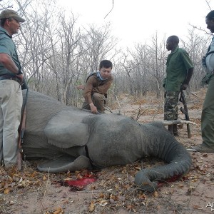 Fourth elephant - Zimbabwe October 2013