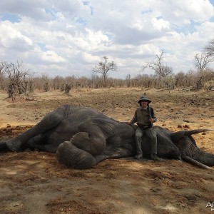 Eighth bull - Zimbabwe October 2013